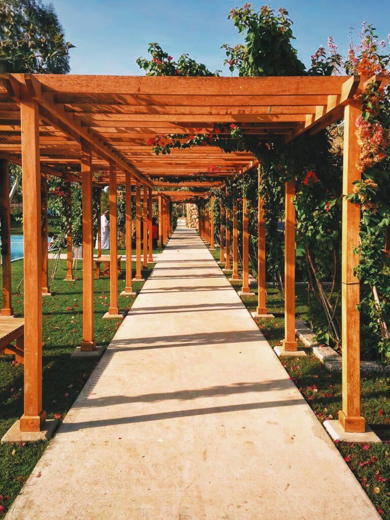What is the difference between a pergola and a Pergoda