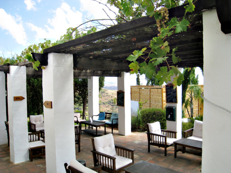 6 Advantages of Owning a Pergola in Your Garden